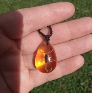 Scorpion amber necklace.